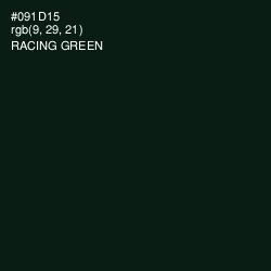 #091D15 - Racing Green Color Image